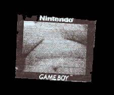 a fragmented portrait taken with a gameboy camera (5)